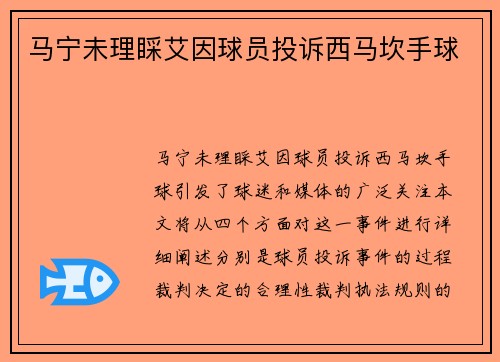 马宁未理睬艾因球员投诉西马坎手球